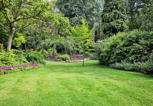 Optimiser l'expérience du jardin à Avesnes-le-Comte